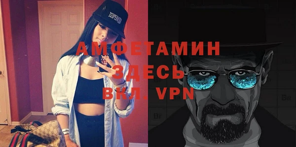 прущие грибы Абаза