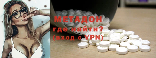 прущие грибы Абаза