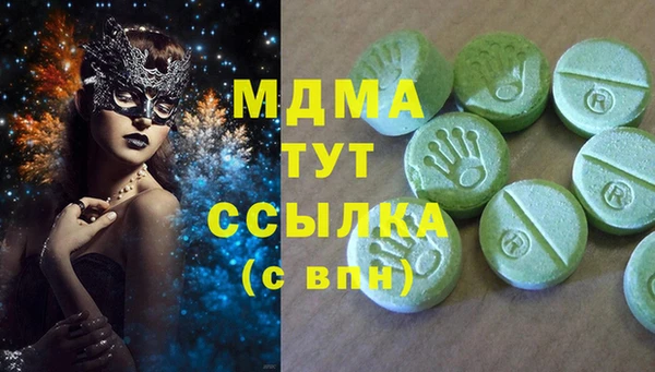 прущие грибы Абаза