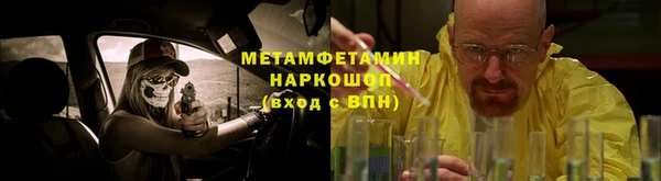 прущие грибы Абаза