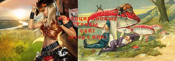 спиды Абдулино