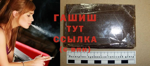 прущие грибы Абаза