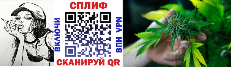 МАРИХУАНА SATIVA & INDICA  где найти   Истра 